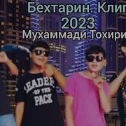 Мухаммади Тохири 2023