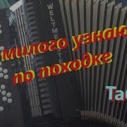 А Я Милого Узнаю По Походке На Баяне