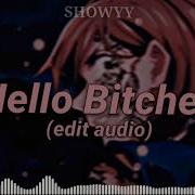 Hello Bitches Edit Audio