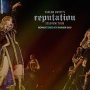 Look What You Made Me Do Reputation Tour