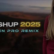 Elsen Pro Remix