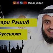 Сура Фуссилат Мишари Рашид