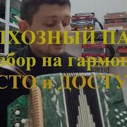 Колхозный Панк На Гармошке