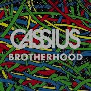 Cassius Brotherhood