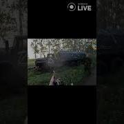 Вольнов Про Чечню