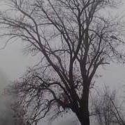 Город Окутан Снегом Густым