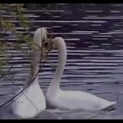 Сказочно Красивая Песня