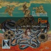 Quantus Flow Sebastian Sellares Remix