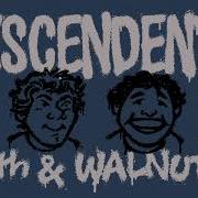 Glad All Over Descendents