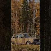 А Берёзы Тут Шумят