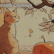 Оранжевое Солнце Speed Up
