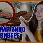Разбили Вино Перед Преподом
