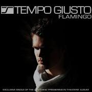 Flamingo Dj Eco Remix Tempo Giusto