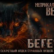 100 Самых Опасных Вещей Фонда Scp Номер 1 Кот