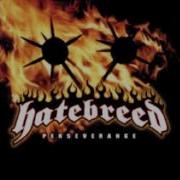 Hatebreed You Re Never Alone