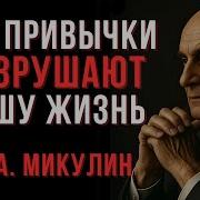 Без Жалости К Сибе