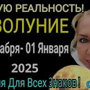 31 Декабрь 2024