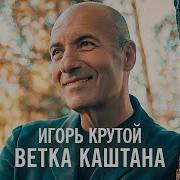 Ветка Каштана Игорь Крутой