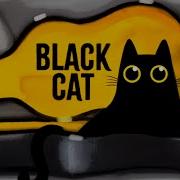 Little You Black Cat Lyrics