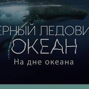 Северно Ледовитый Океан