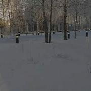 Белые Берёзы Белые Снега