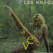 Les Kili Cats