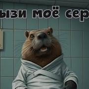 Сгрызи Моё Сердце Ария Aicover