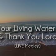 Let Your Living Water Flow Over My Soul Lyrics