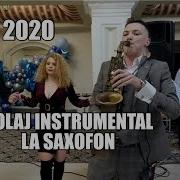 Robert Saxofon Sarbe