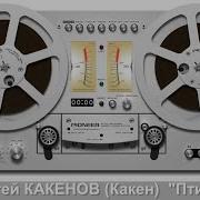 Сергей Какенов Птицы