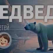 Белый Медведь Видео Для Детей