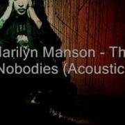 The Nobodies Acoustic Cover