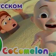 Секс Видео Cocomelon Мультик Скачать Бесплатно На Телефон