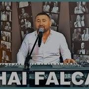 Mihai Falca Am Un Baietel Frumos