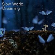 Fortuna Slow World