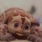 Давай Меняться 1984