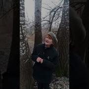 Молитва Песня На Арабском
