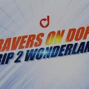 Ravers On Dope Trip To Wonderland