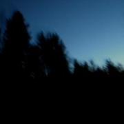 О Чем Поет Ночью Сверчок Любуюся Природой