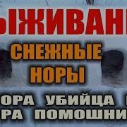 Макс Максимов Укрытие