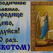 Богородице Дева Радуйся 40 Раз