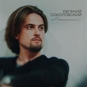 Евгений Соколовский Один День