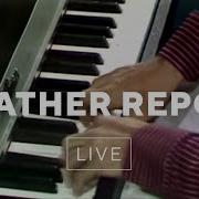 Elegant People Live Weather Report