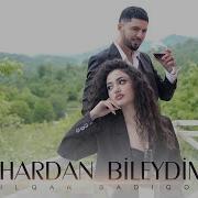 Hardan Biləydim