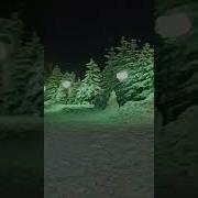 Падает Снег На Плечи Тает Во Мгле Закат
