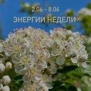 Татьяна Фомичева Кристаллософия