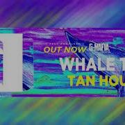 Tan House Whale Tail