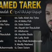 Mohamed Tarek