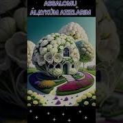 Туғилган Кунинг Муборак Бусин Ӯғлим