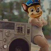 Paw Patrol X Baby Dance Coffin Dance Meme Parody